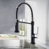 The new model is beautiful and durable Single Handle Pull-Down Sprayer Kitchen Faucet in Black+Gold