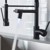 New Single Handle LED kitchen faucet with pull-down kitchen faucet in Black